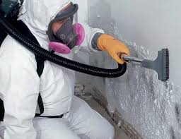 Mountain Green, UT Mold Removal Company